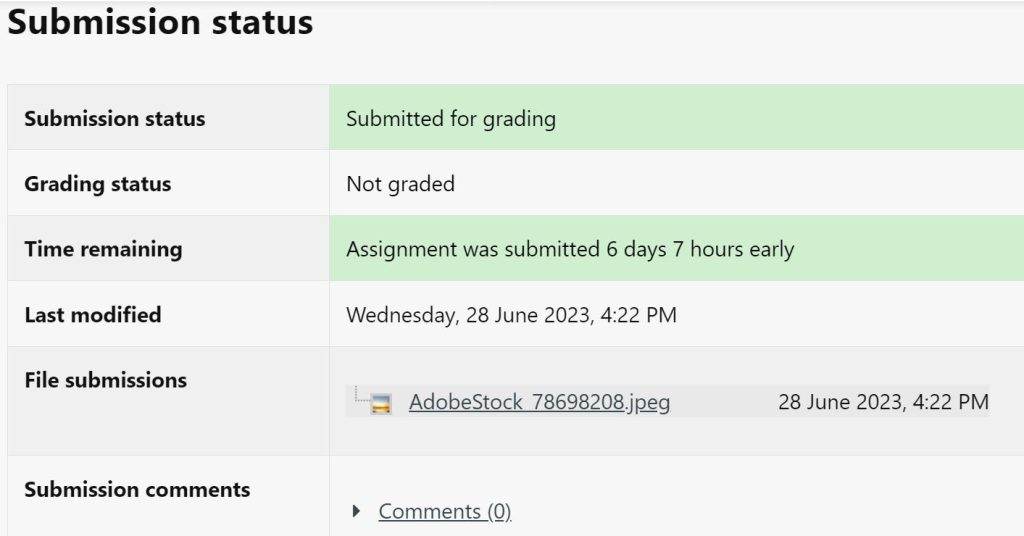 The submission status window in Moodle after submitting an assignment