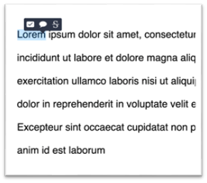 Text highlighting in Feedback Studio 